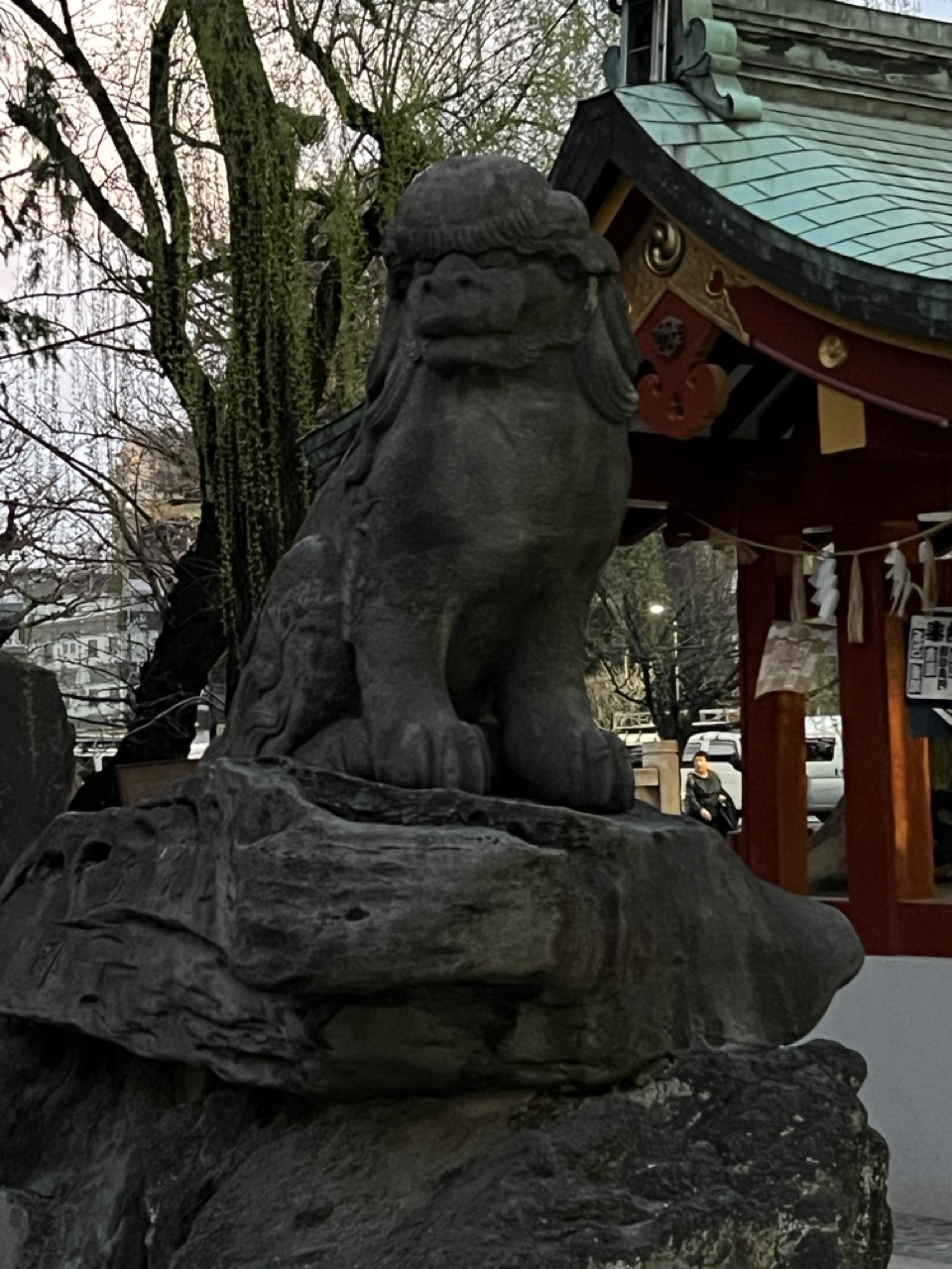 Lion
